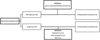 Tailored Exercise Training Counteracts Muscle Disuse and Attenuates Reductions in Physical Function in Individuals With Amyotrophic Lateral Sclerosis